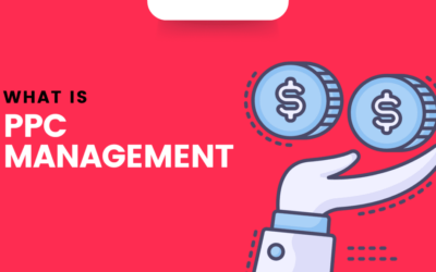 What Is Amazon PPC Management And How Does It Work?