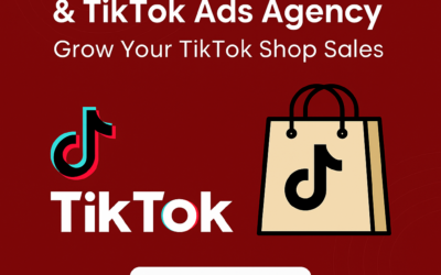 Best TikTok Ads Agency: Top-Performing Partners for Maximum Campaign Results